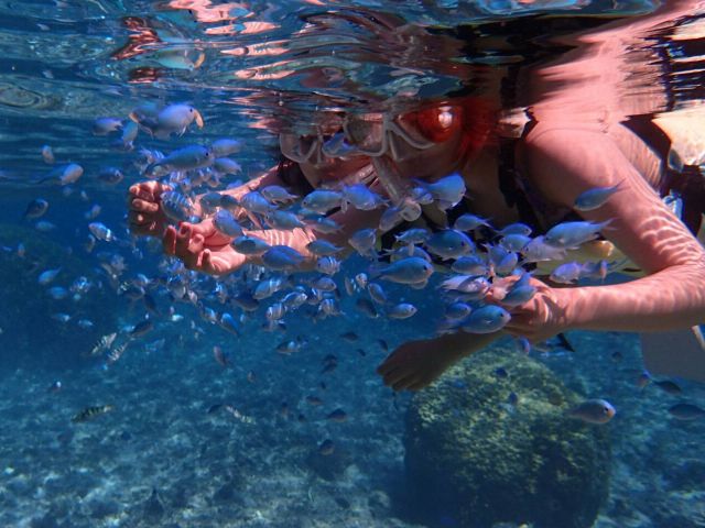 目の前には沢山の熱帯魚たちが☆
