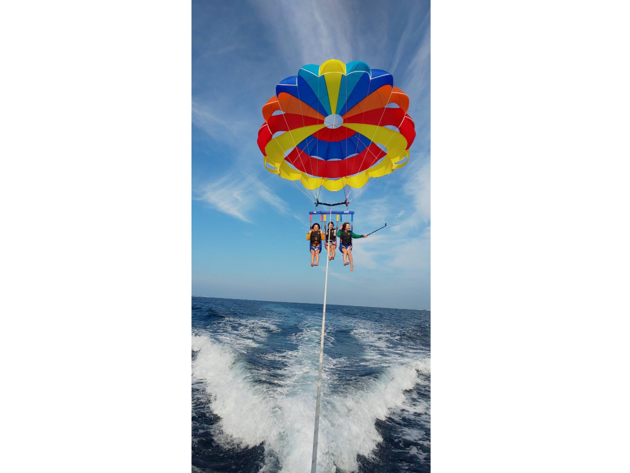 ���q���ɑ�l�C�I