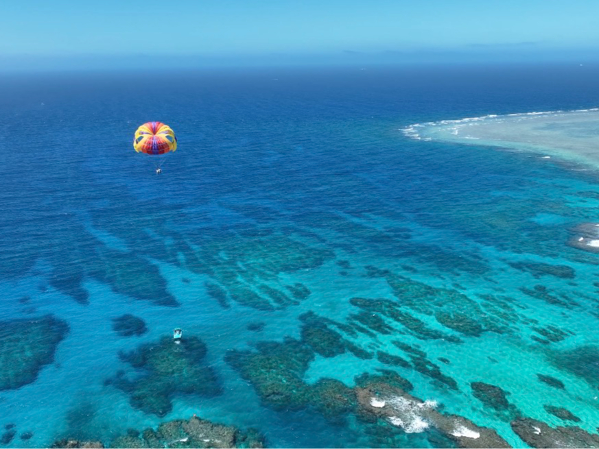 �����ɂ̓P���}�u���[��360�x