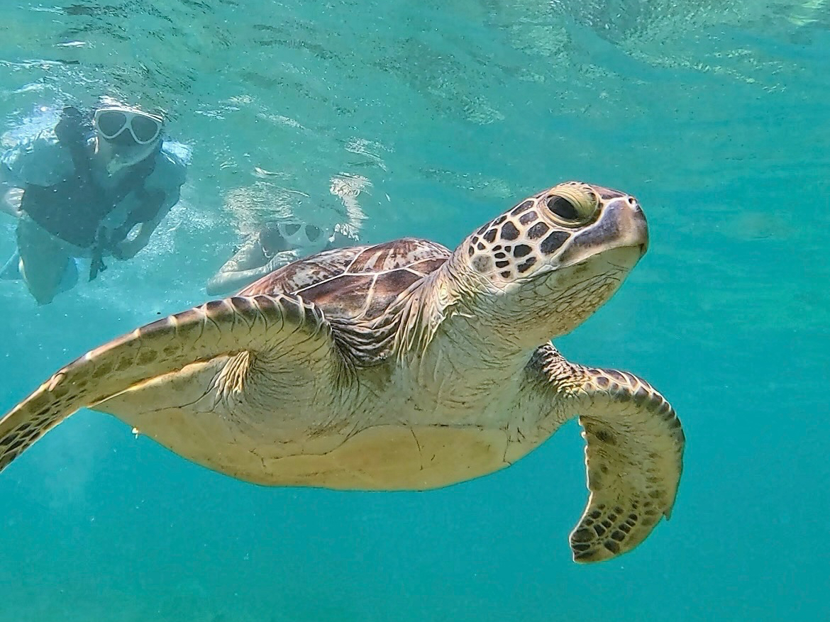 �o�������烉�b�L�[�I�I�E�~�K��������70%���ꏏ�ɉj���Ŋ����̌���