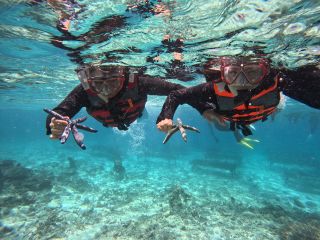 専属ガイドが丁寧に教えてくれます♪