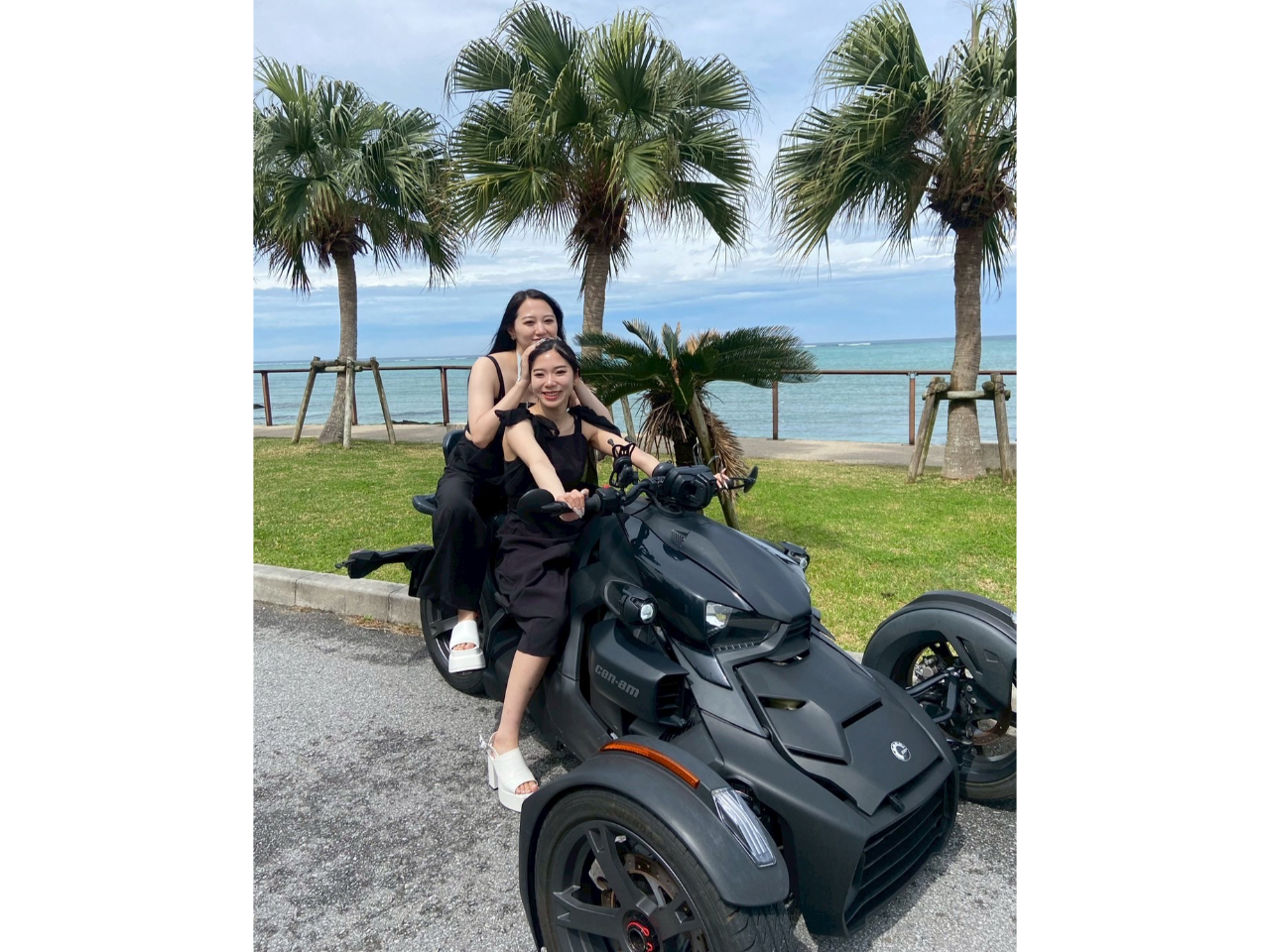 GhO[̊CƃIVȃV̖؂ŃCX^fԈႢȂ