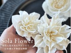 ソラシートから作るソラフラワー、一枚のシートから色々なデザインのお花が作れる可能性に満ちたお花です。