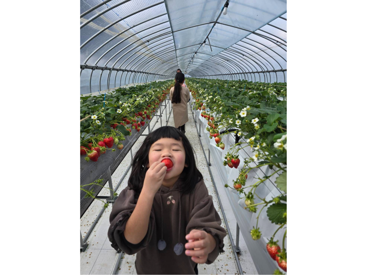 ܂Œ[܂ŁAЂЂCɓ̎qTĂˁ`