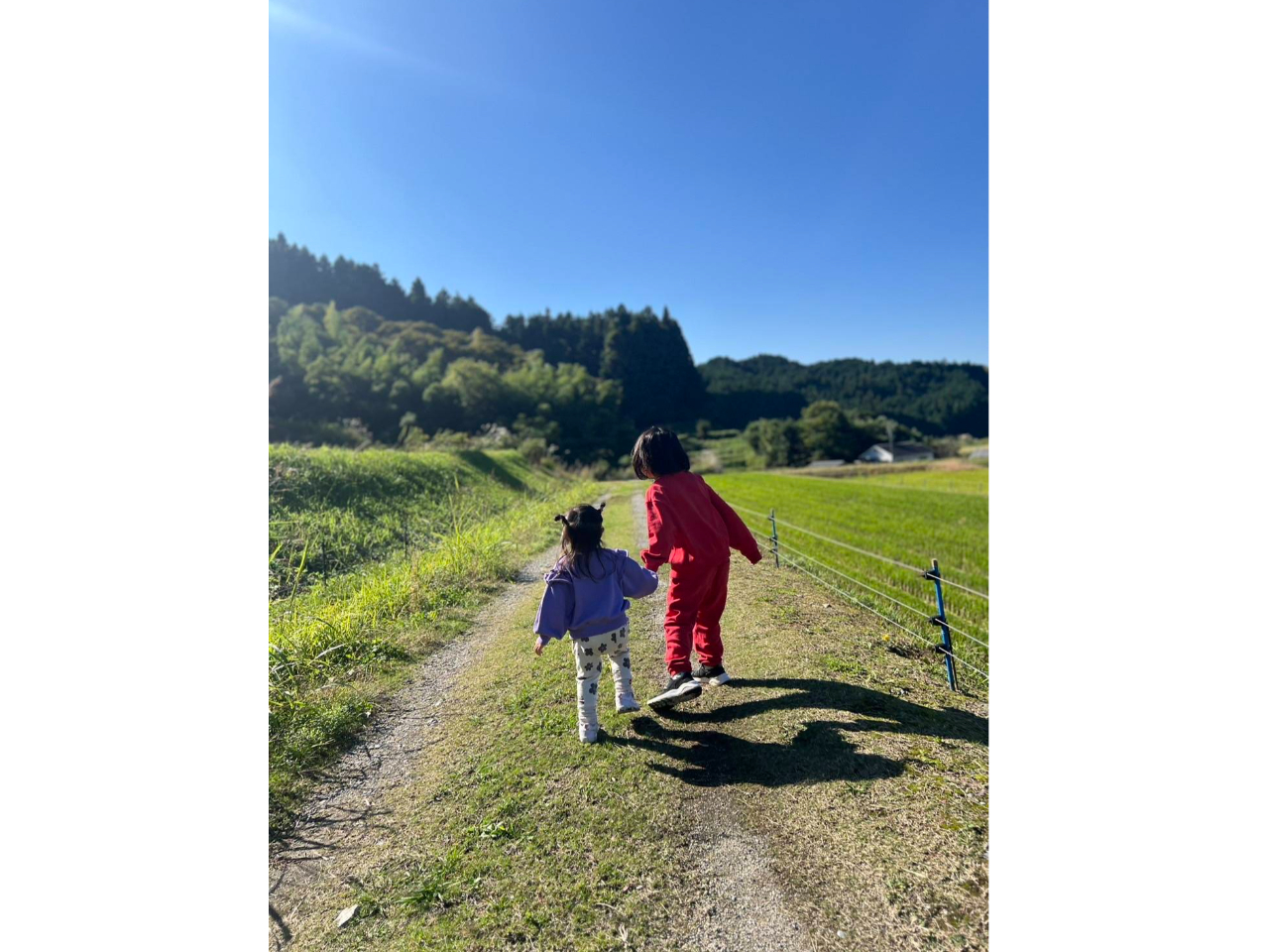 瑁ԍ㑺AR̒̂B ̂ǂȎR̂Ȃł̂y݂I