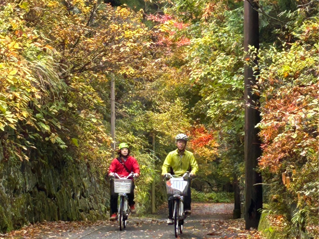 uȂƂ܂ŁHvAEYGÂ݂݂܂ŃTCNO