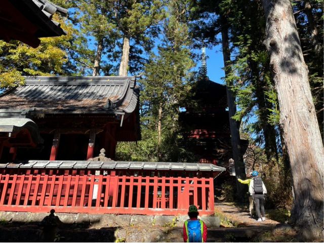 杉の大木と建築物がつくりだす景観を堪能