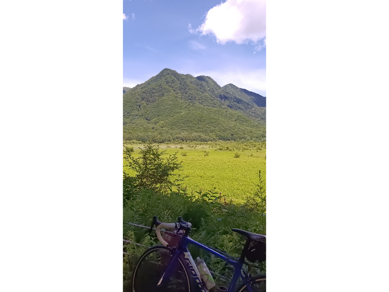 ���c�ブ������