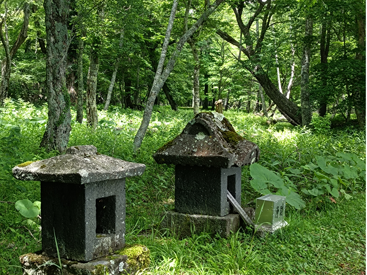 ���P�l�A���Ă̎R�x�M�̖��c