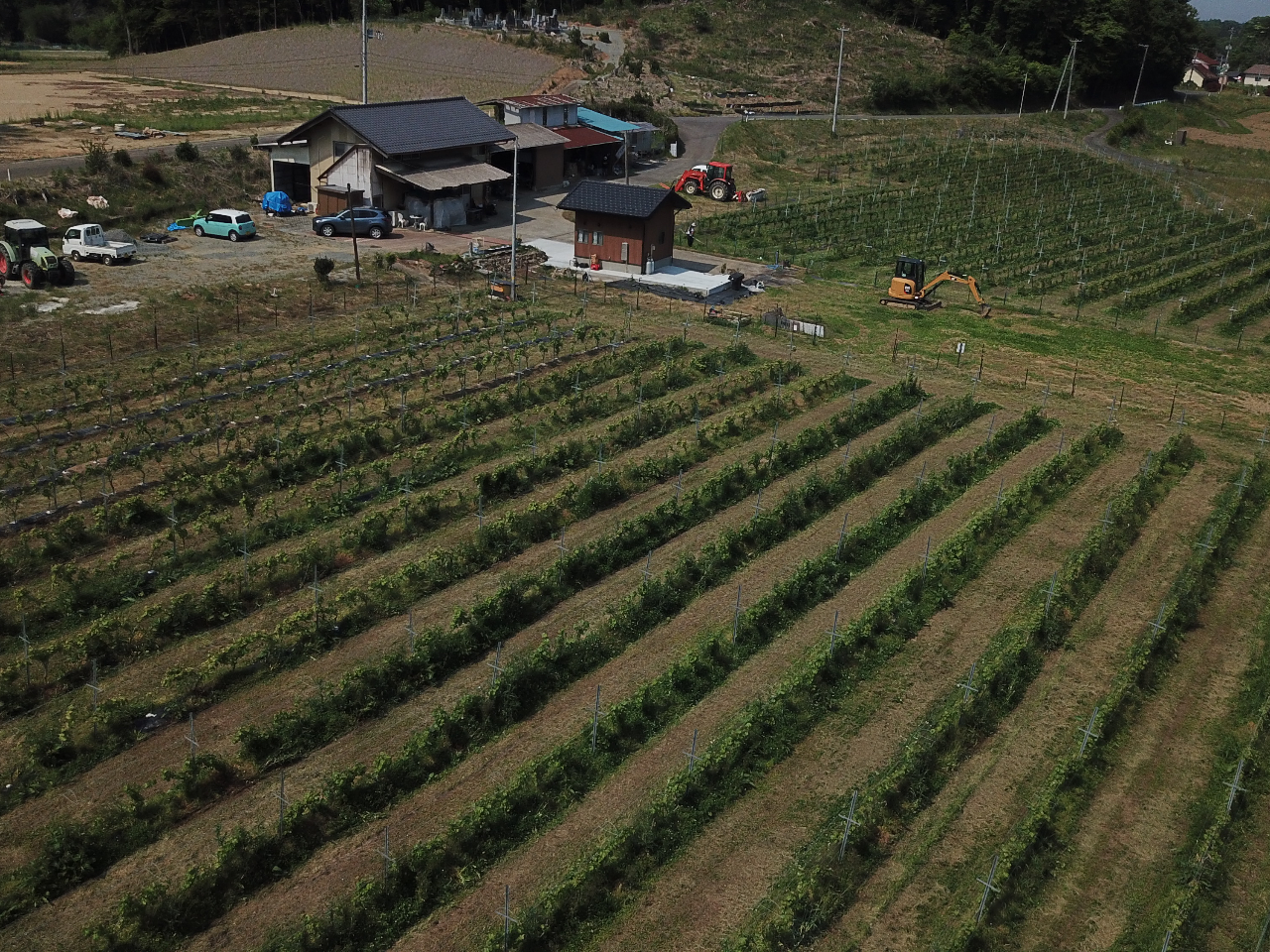 RMt@[́u揬؁v̍Lȓynɂ܂I