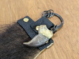 本物のヒグマの爪を磨いてお土産を作ろう♪