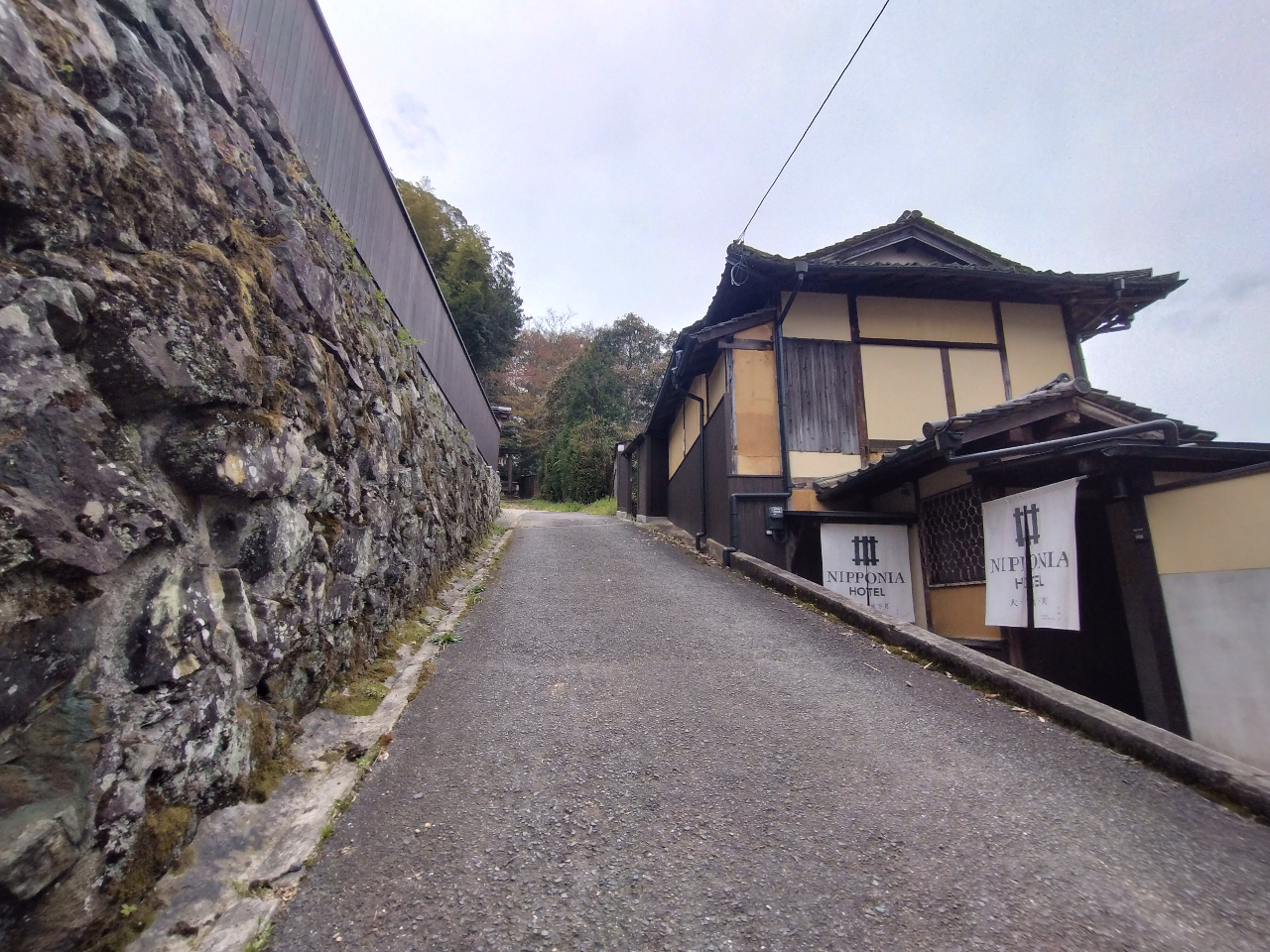 F̘[ɍLuɗ\̏svƏ̂钬݁BƂ┒ǂ̌cA]˂疾̖ʉeFZcB