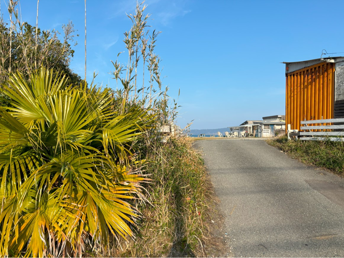 LADY WIND &SUP�̓�����ł��B�I�[�V�����J�E���c�̓�������R�`���ł��B�`�F�[�������Ă��܂��̂ŁA�����g�ŊJ�����肢���܂��B