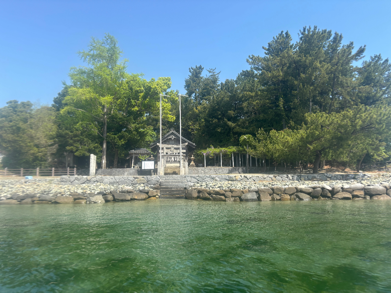 ���R�_�Ё@4�����{�@���̉Ԃ��Y��ł��B�߂��ɍs���Ɠ��̉Ԃ̊Â�����ŗD�����ɕ�܂�܂��B