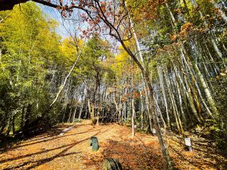里山の小さなキャンプ場