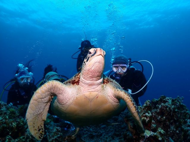 少人数制、1グループでの貸切などもできます!少人数制ならではの安心サポートを大切にしています。