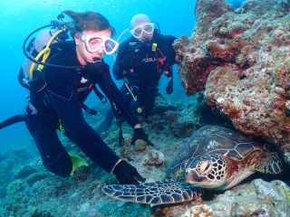 石垣島ではとても人懐っこい亀が沢山いるので間近でウミガメと写真を撮ることができちゃうんです!!