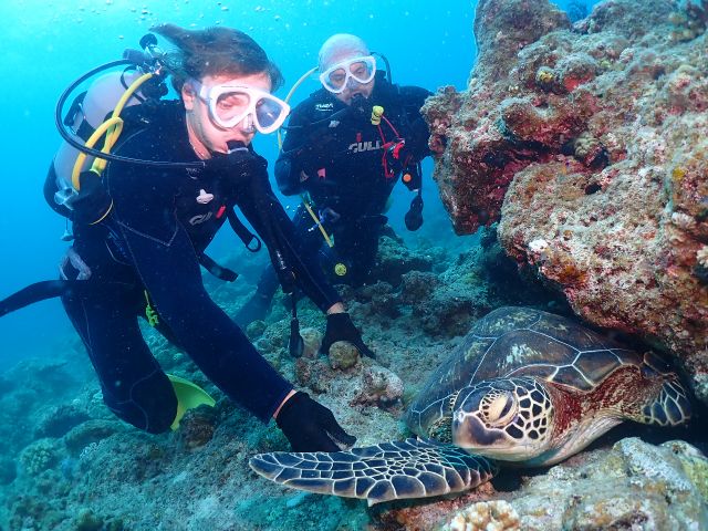 石垣島ではとても人懐っこい亀が沢山いるので間近でウミガメと写真を撮ることができちゃうんです!!