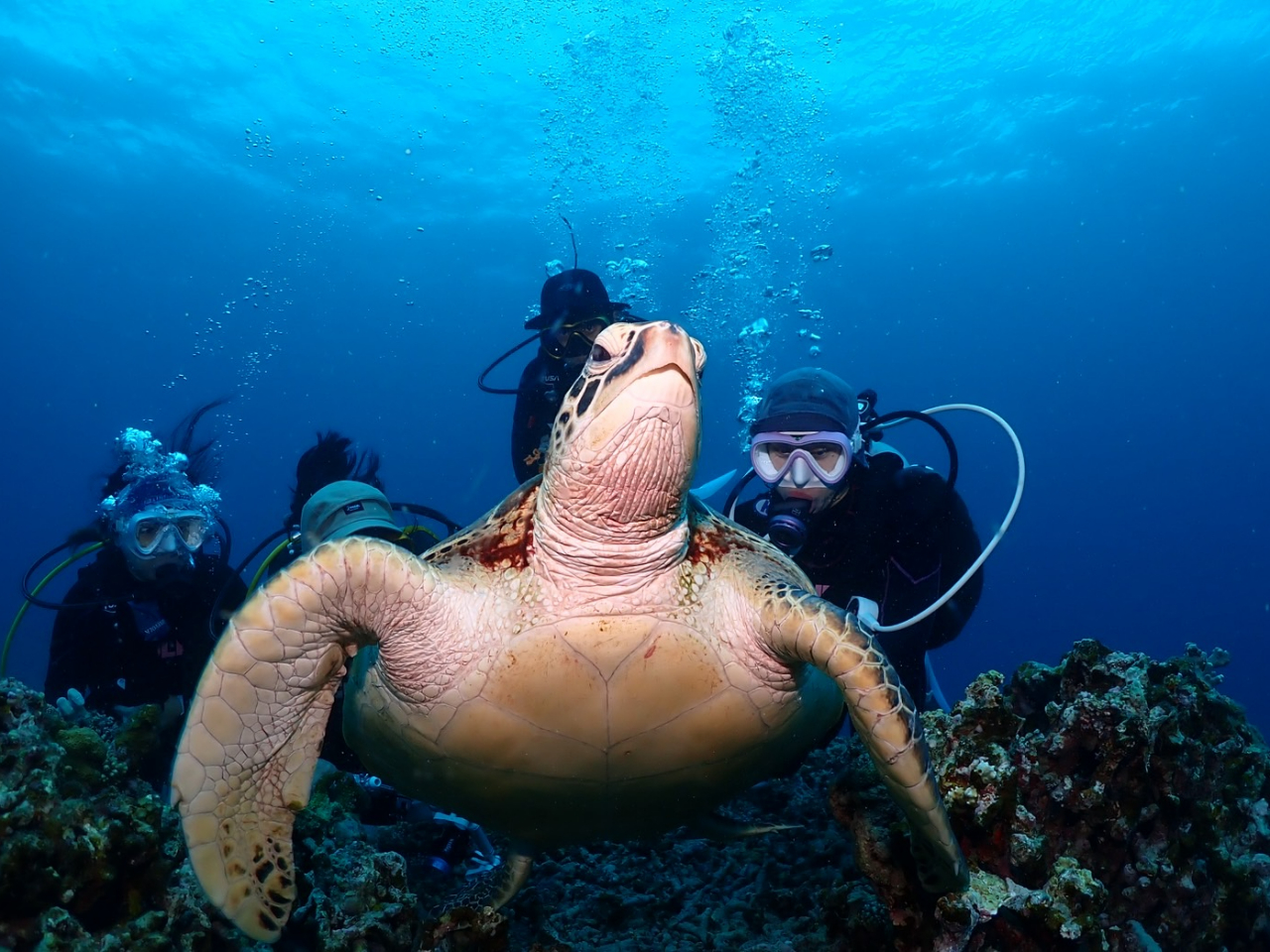 lA1O[vł̑ݐ؂Ȃǂł܂IlȂł͂̈ST|[g؂ɂĂ܂B