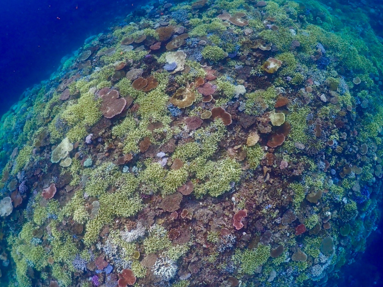 Ȃɐ肾̃X͂ƂĂ͂܂I