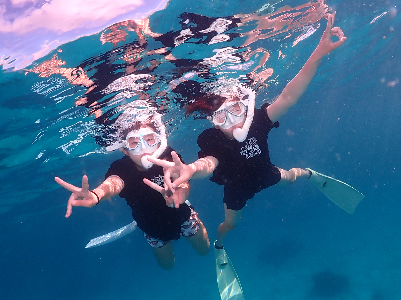 S҂łSSBlŃE~K}^ɉBōȃVm[PcA[II