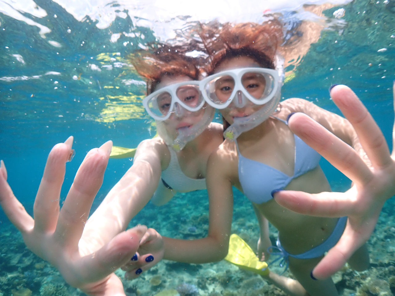 dRYȊCŎʐ^fԈႢȂII掿Jłql̎vo1B܂B