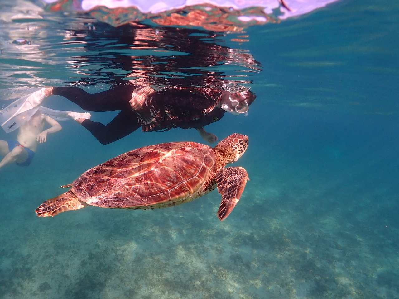 ★写真・動画も撮影無料!当日お渡しできます!
★浅瀬なので初心者、小さなお子様もご参加可能!
★経験豊富のインストラクター在籍♪
★新品機材なので衛生面も安心