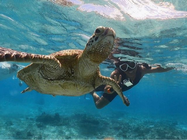 カメさんとツーショット