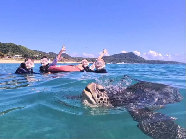 カメさんの息継ぎに合わせて一緒に顔をあげて見ましょう!