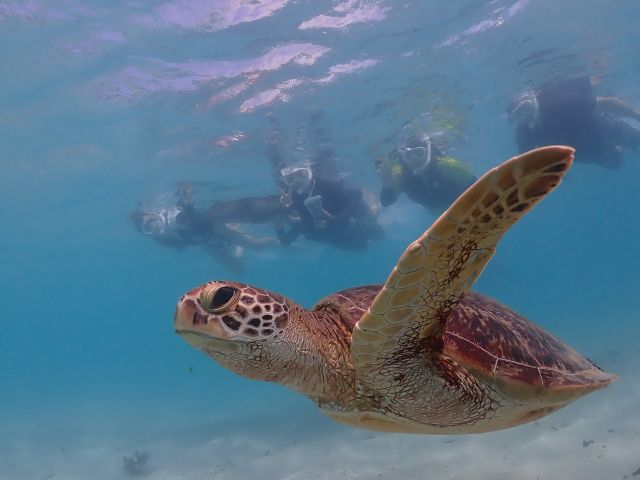 ファミリーでのご参加もおすすめです!