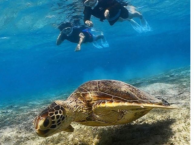 浅い水深なので、泳ぎが初めての方も安心してくださいね。
