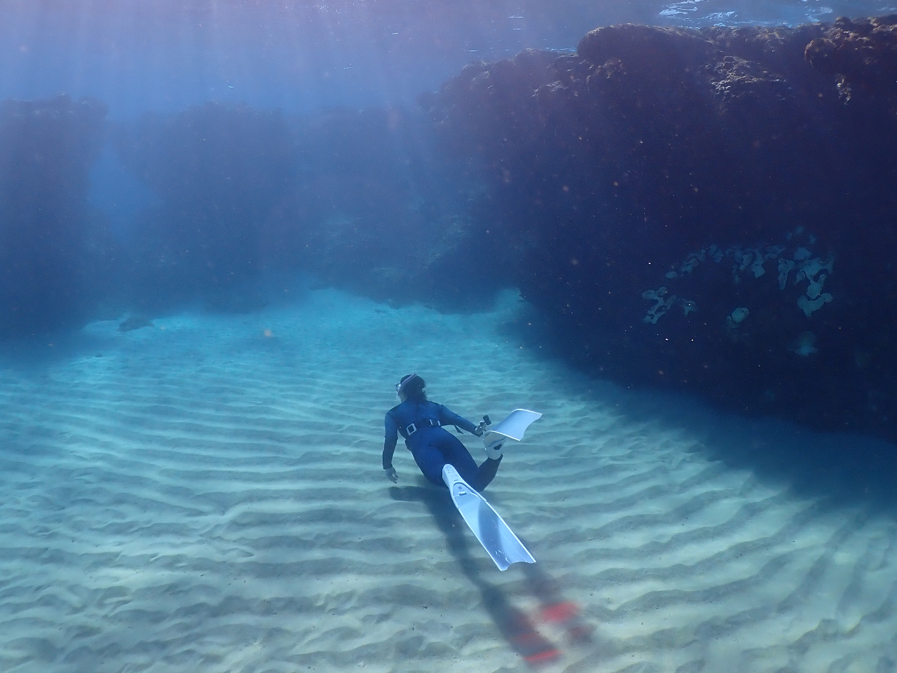 ★写真・動画も撮影無料!当日お渡しできます!
★経験豊富なインストラクター在籍♪
★ロングフィンのレンタルもあります!