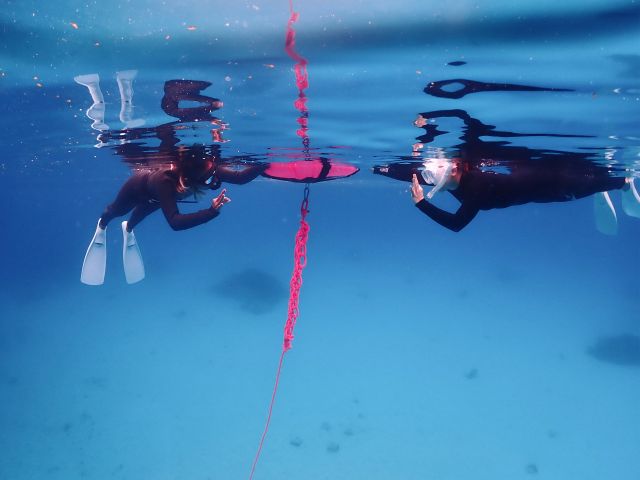 スキンダイビングインストラクターがしっかりレクチャーいたします