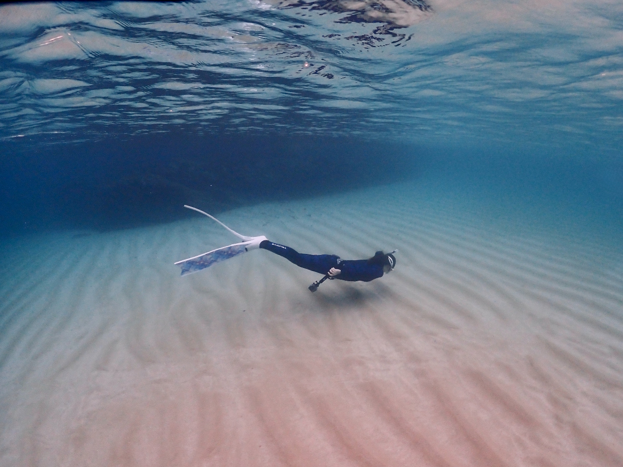 uK̓OtBŉ̊CDɉj܂傤