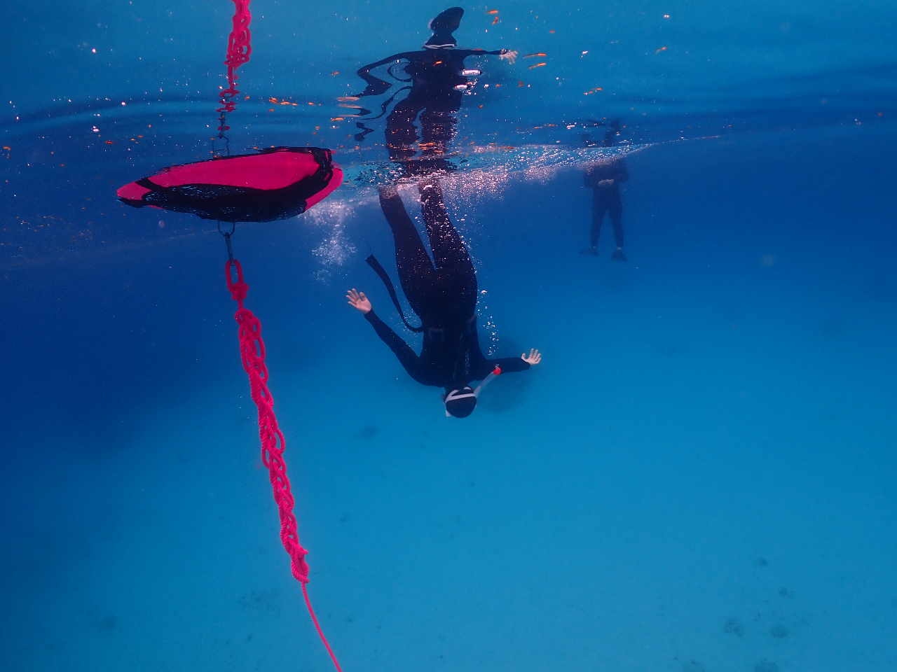 最初はまっすぐ潜れなくても、何度も繰り返してるうちに綺麗に潜れるようになります