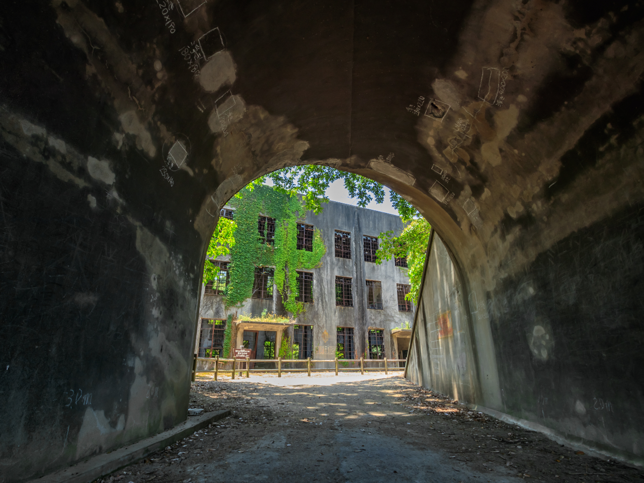 dɒʂZgl@ًԂɗU܂銴oo܂