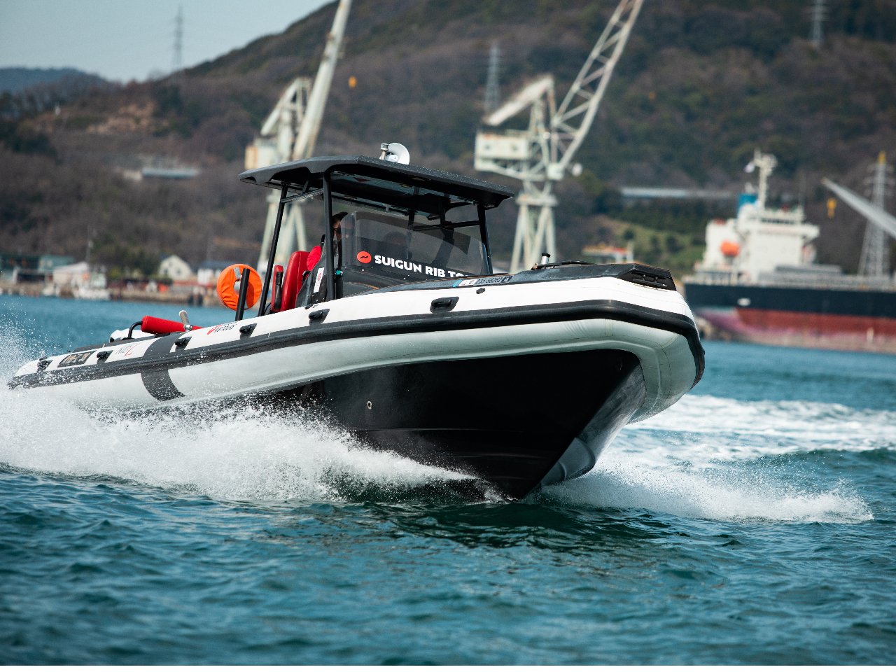 ���j���A���萫���Q�̍�����