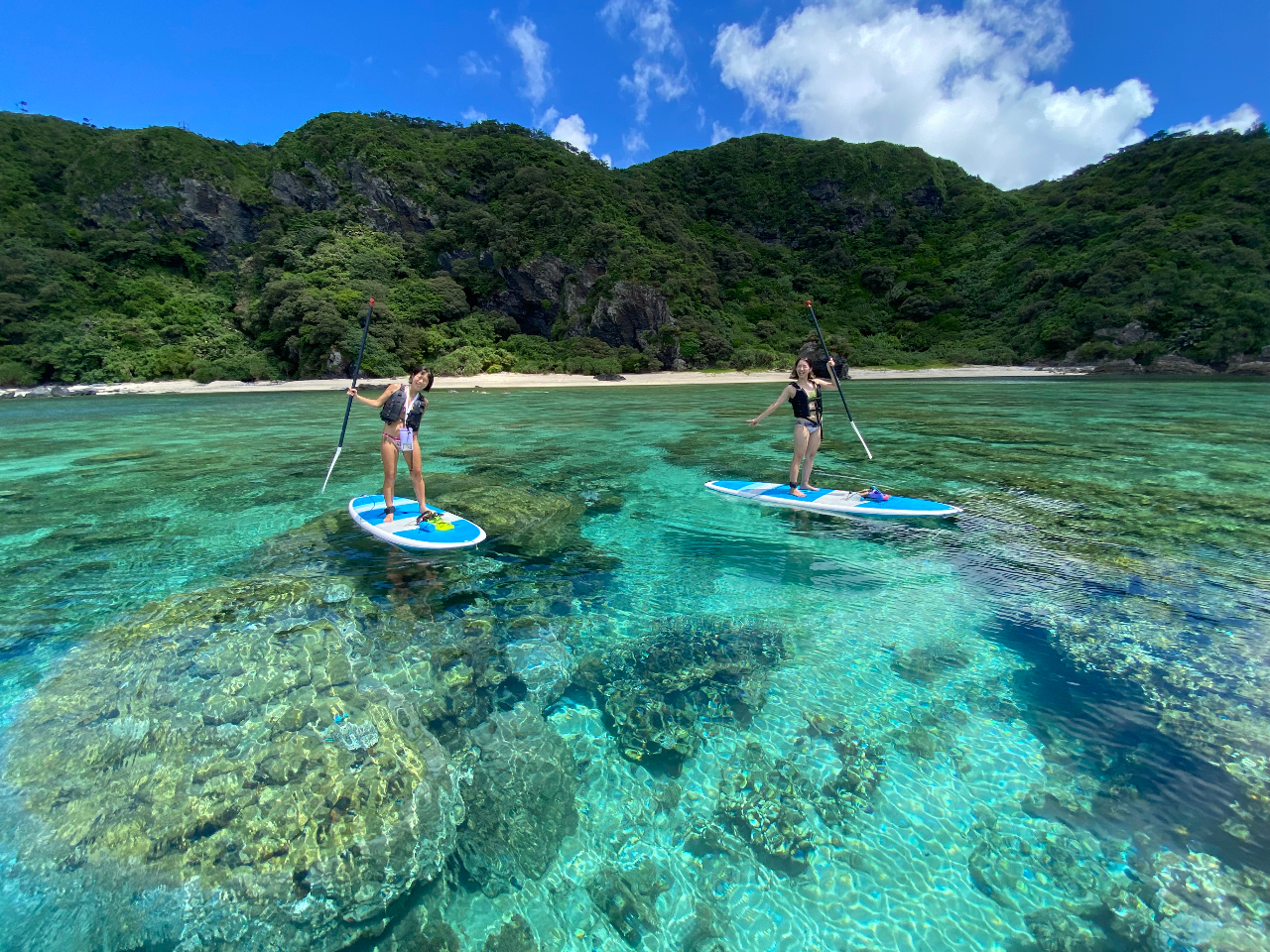 ꌧԖcA[łȂGAsupN[WO