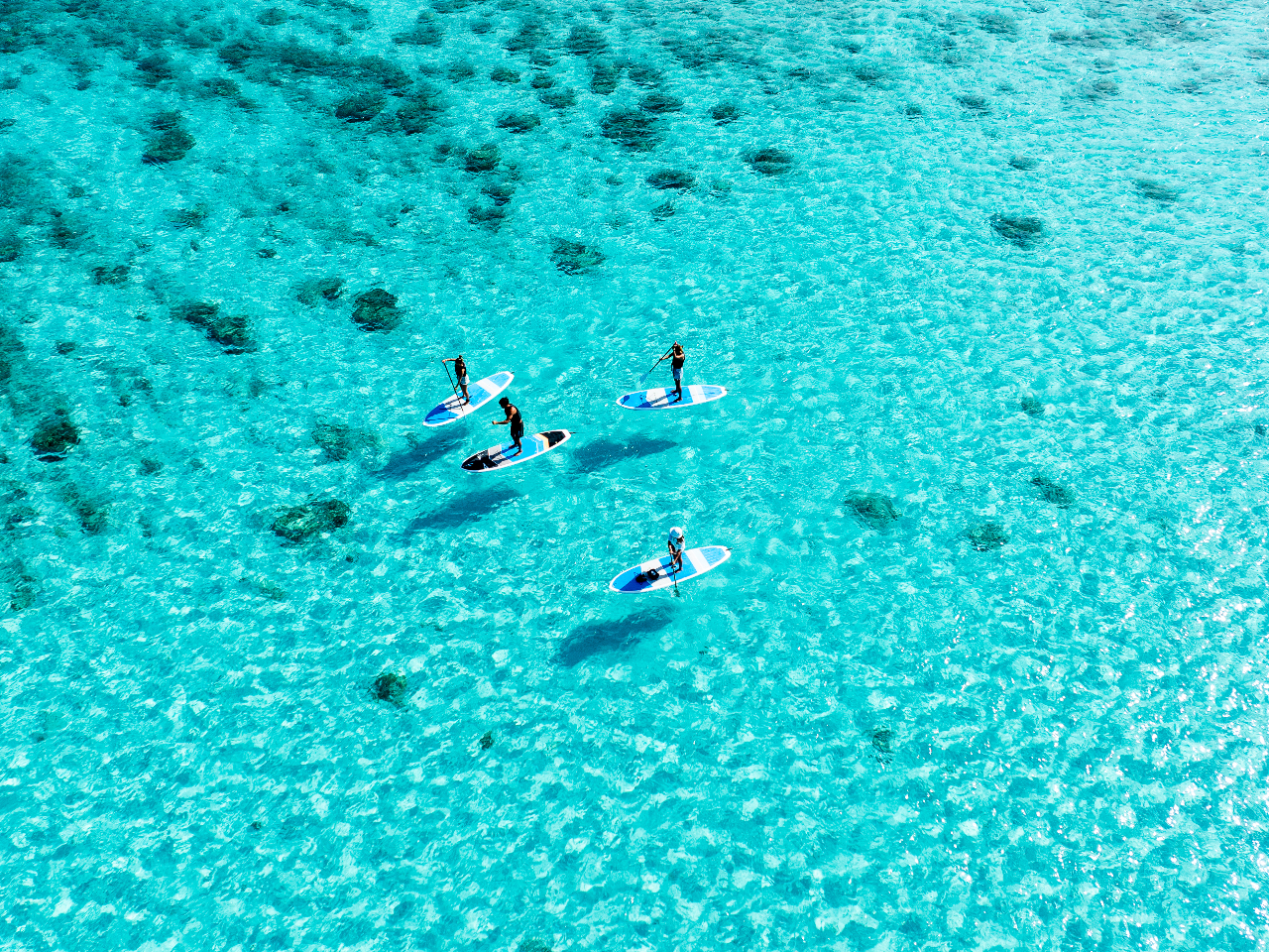 IvVCh[BeSUPcA[ڂmaru earthHP`FbN