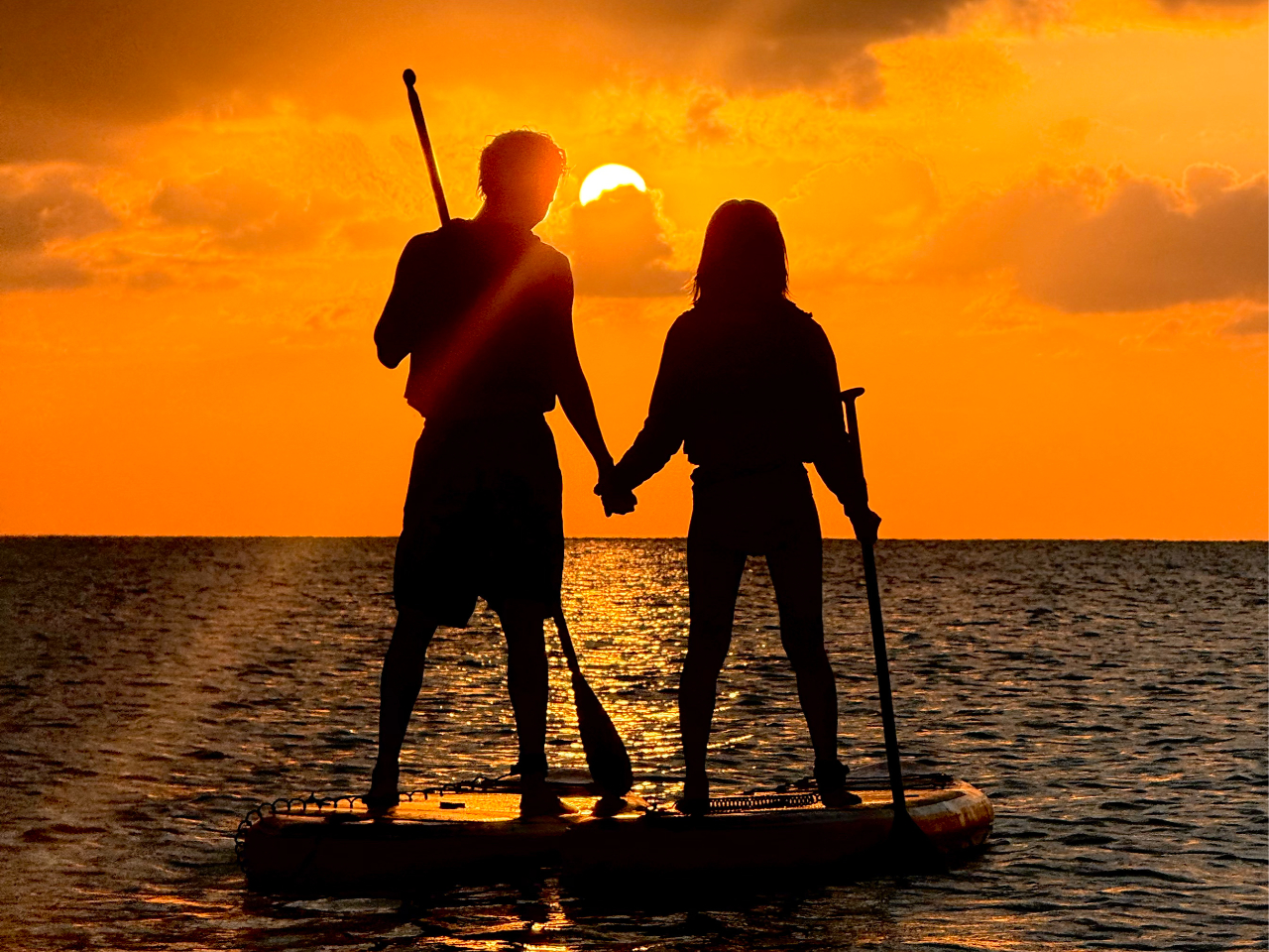 �҂��󂯂ɏo�������Ȏʐ^�B��܂��I