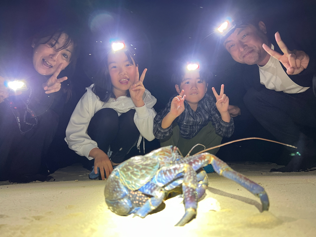 子ども大興奮！】ファミリー石垣ナイトジャングル大冒険！元自衛官が