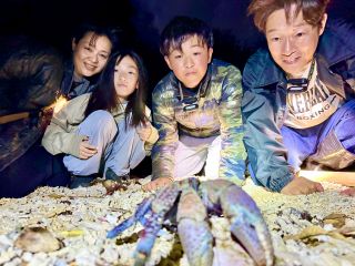 ヤシガニ発見!