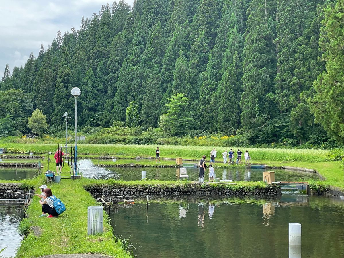 秋田・湯沢】＼手ぶらで鮎釣り体験／自分で釣った鮎を職人が炭火