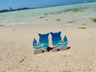 自分だけの海を作りませんか?