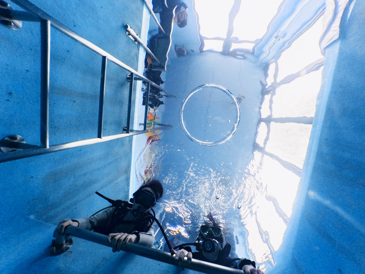 水中世界を楽しみましょう