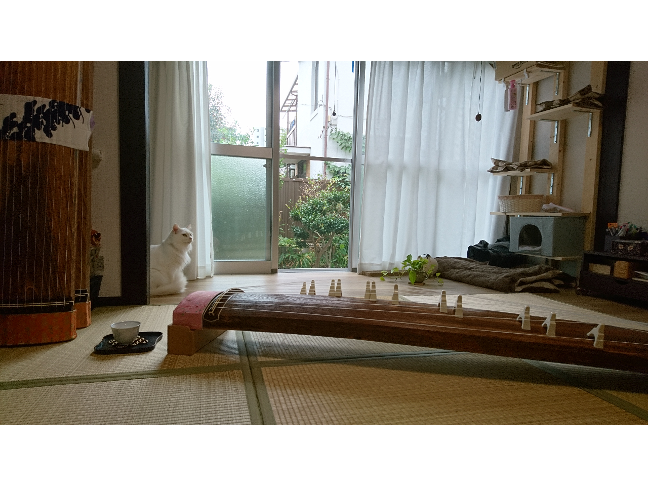 ƂƂɁu΂񂿁v̂悤ȁcce݂₷ƁAccH 