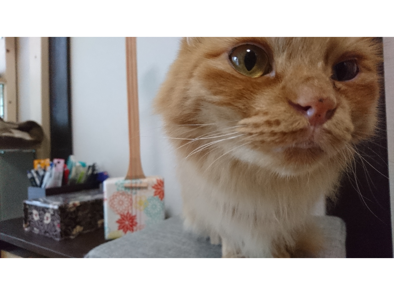 ŔĹuRgvƂ҂Ă܂I