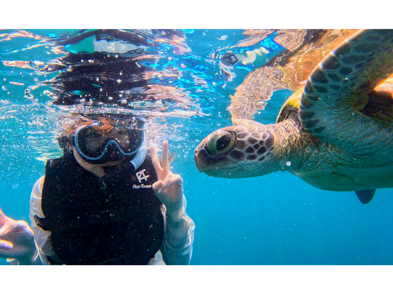 E~KJtȋƉjĂ܂Őق̒jł邩̂悤ȑ̌ł܂IŌ̑ŐŜtbVI