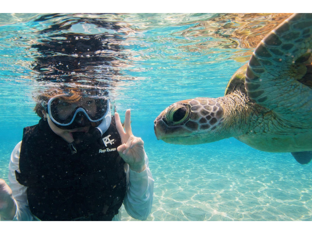 �E�~�K����J���t���ȋ��Ɖj���Ă܂�Ő����ق̒����j���ł��邩�̂悤�ȑ̌����ł��܂��I�Ō�̑�ŐS���̂������t���b�V���I#�h���[���B�e#�Ί_���E�~�K���V���m�[�P��