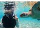 ウミガメやカラフルな魚と泳げてまるで水族館の中を泳いでいるかのような体験ができます!最後の滝で心も体ももリフレッシュ!#ドローン撮影#石垣島ウミガメシュノーケル